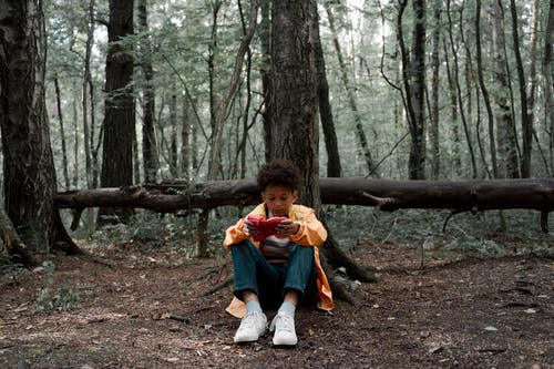 有关倒下的樹, 坐, 孤單的免费素材图片