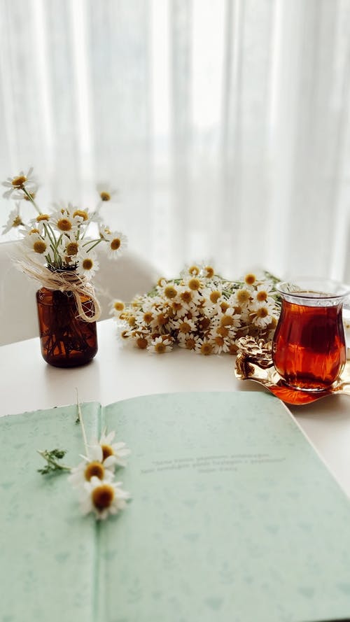 有关垂直拍摄, 新鮮, 書的免费素材图片