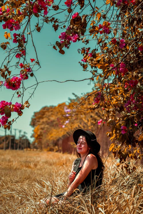 有关坐, 垂直的, 天性的免费素材图片