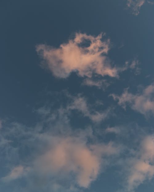 有关垂直拍摄, 天空, 氣氛的免费素材图片