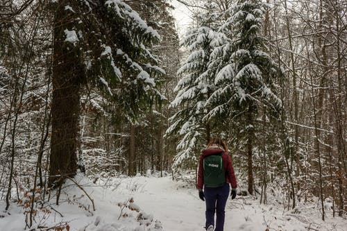 有关下雪的, 冬季, 冷冰的的免费素材图片