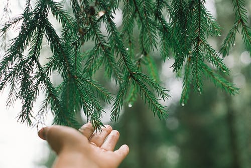 有关手, 接觸, 景深的免费素材图片