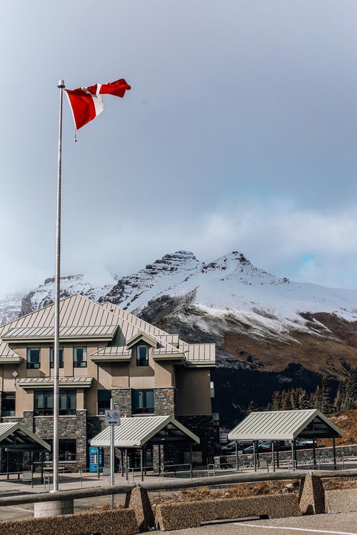 有关垂直拍摄, 大雪覆盖, 天空的免费素材图片