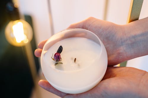 有关圓形, 容器, 手的免费素材图片