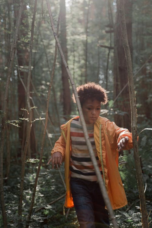 有关個性, 冒險, 勘探的免费素材图片