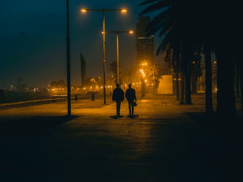 有关在晚上, 戶外, 樹木的免费素材图片