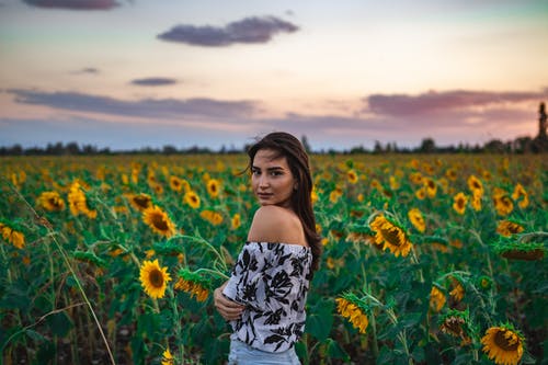 有关向日葵, 女人, 田的免费素材图片