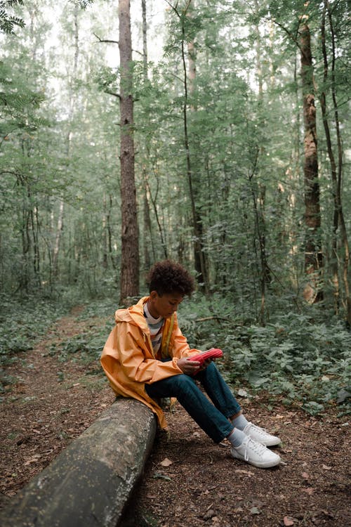 有关坐, 增長, 孤獨的免费素材图片