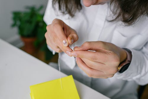 有关手, 握住, 松針的免费素材图片