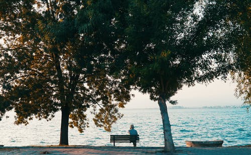 有关休閒時間, 公園, 坐的免费素材图片