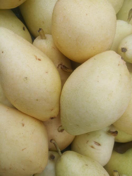 有关健康, 健康食品, 可口的的免费素材图片