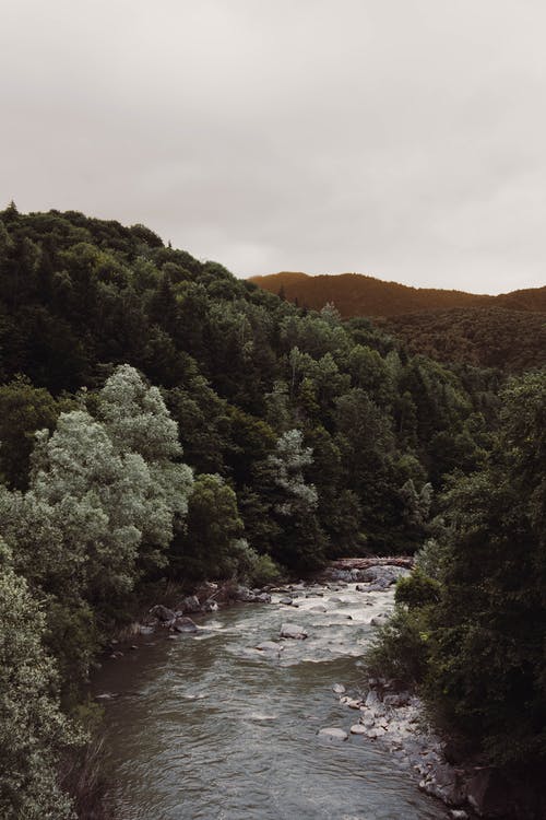 有关垂直拍摄, 天性, 岩石的免费素材图片