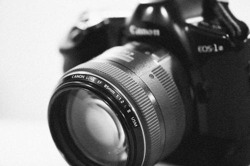 有关佳能, 單色, 數位單眼相機的免费素材图片