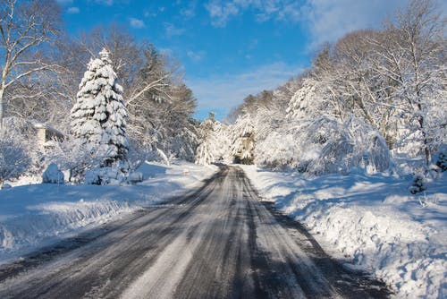 有关冬季, 大雪覆盖, 樹木的免费素材图片