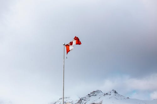 有关低角度拍攝, 加拿大, 大雪覆盖的免费素材图片