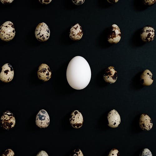 有关復活節, 特写, 蛋的免费素材图片