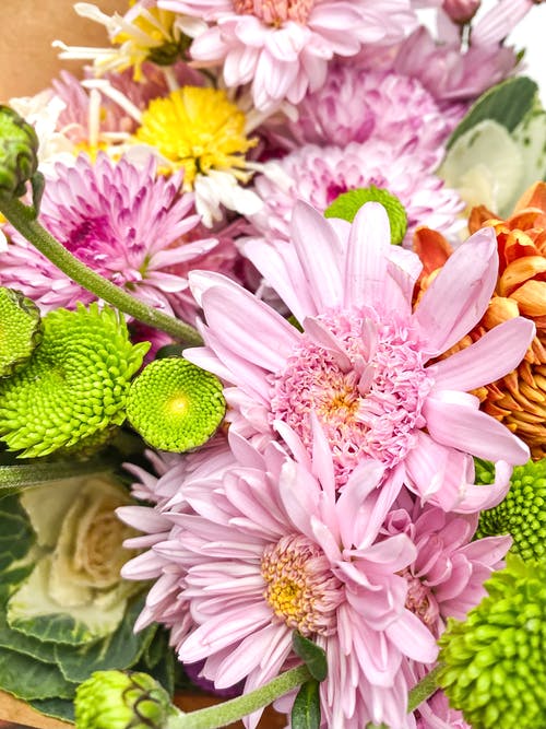 有关垂直拍摄, 插花, 漂亮的免费素材图片