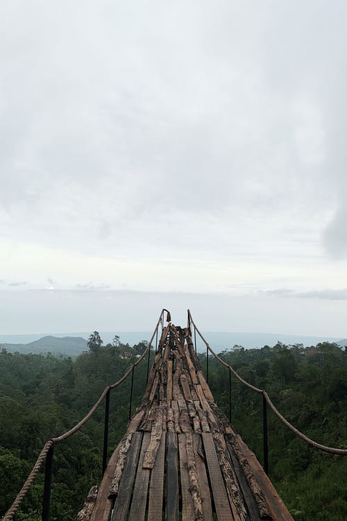 有关垂直拍摄, 天性, 天空的免费素材图片