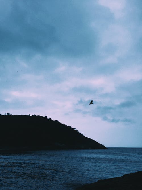 有关垂直拍摄, 天性, 天空的免费素材图片