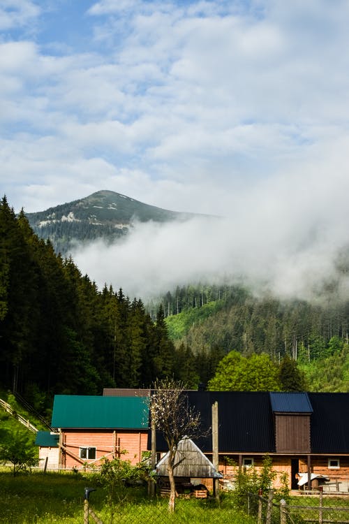 有关垂直拍摄, 天性, 房子的免费素材图片