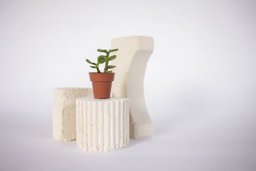 有关圓形, 小販, 工厂的免费素材图片