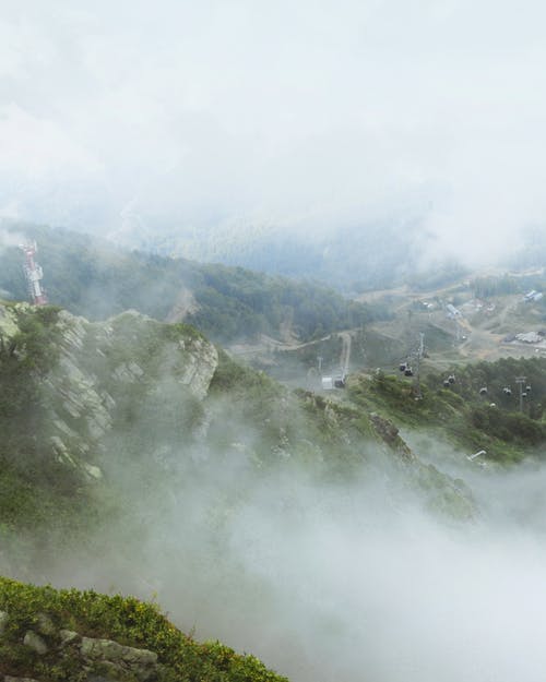 有关垂直拍摄, 天性, 景觀的免费素材图片