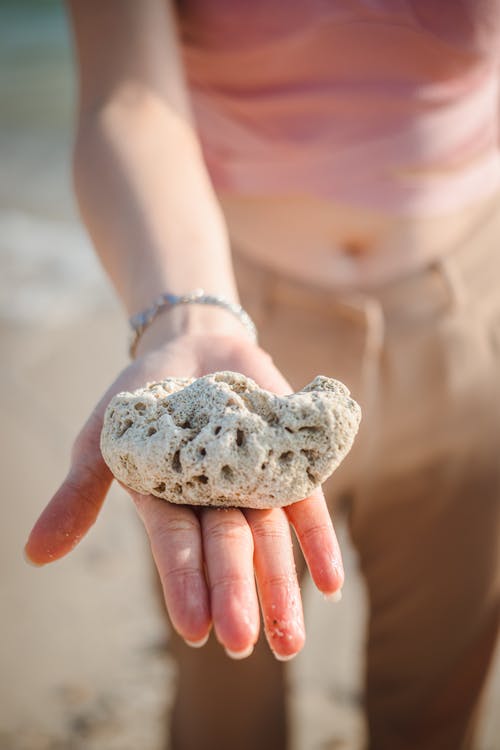 白色的石头 · 免费素材图片