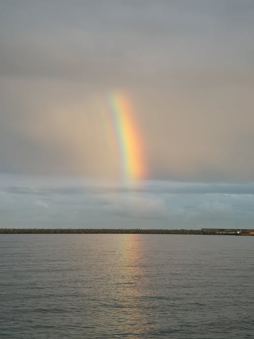 有关垂直拍摄, 彩虹, 水反射的免费素材图片