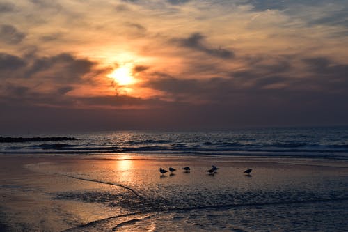 有关地平線, 天性, 岸邊的免费素材图片