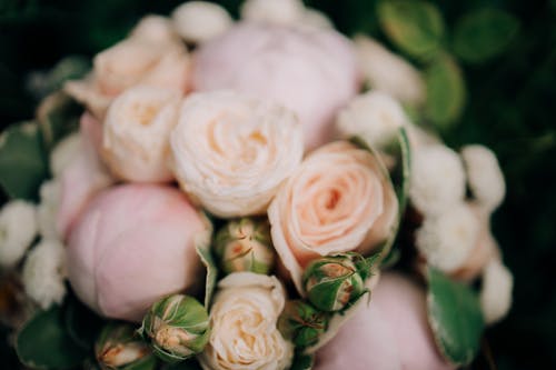 有关婚禮花束, 插花, 特写的免费素材图片