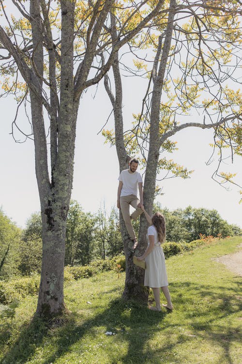 有关一對, 人, 垂直拍摄的免费素材图片