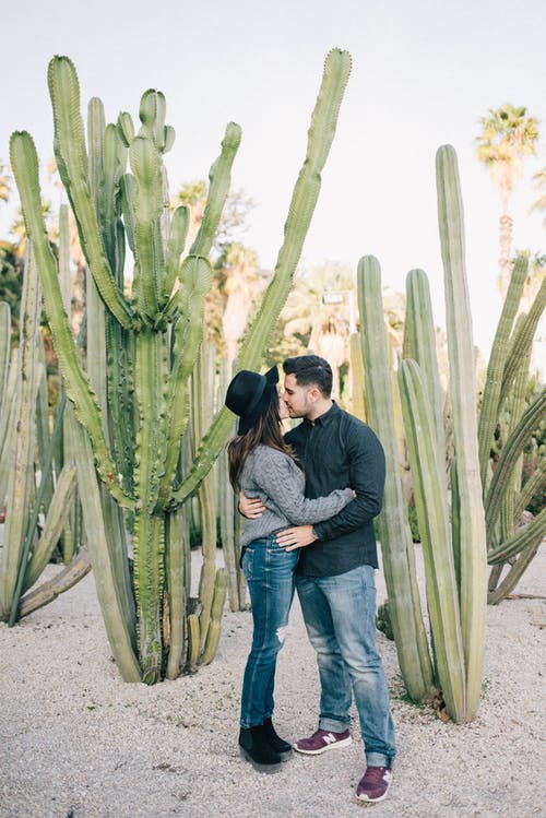 站在绿色仙人掌旁边的灰色毛衣和蓝色牛仔牛仔裤的男人 · 免费素材图片