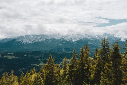 有关冬季, 和平的, 天性的免费素材图片