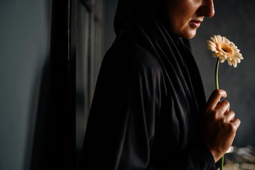 有关室內, 握住, 植物群的免费素材图片