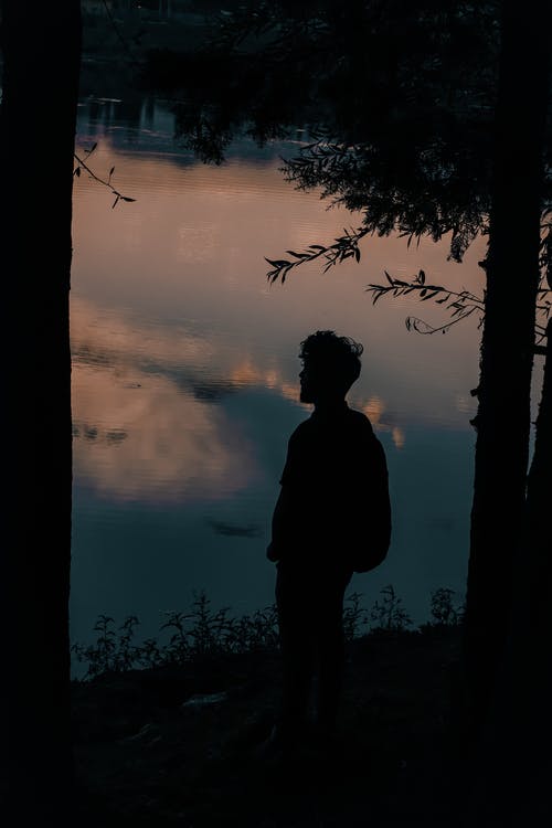 有关人, 剪影, 垂直拍摄的免费素材图片