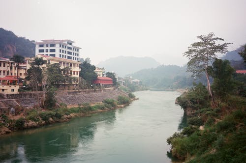 有关有薄霧的, 樹木, 水邊的免费素材图片