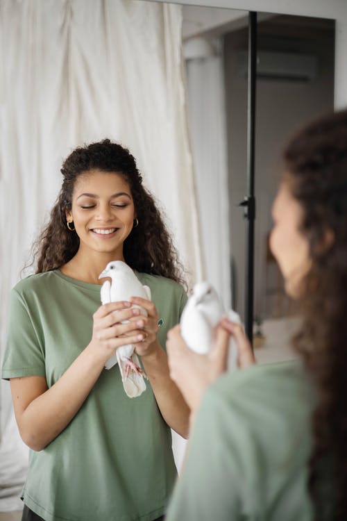 有关人, 動物, 反射的免费素材图片