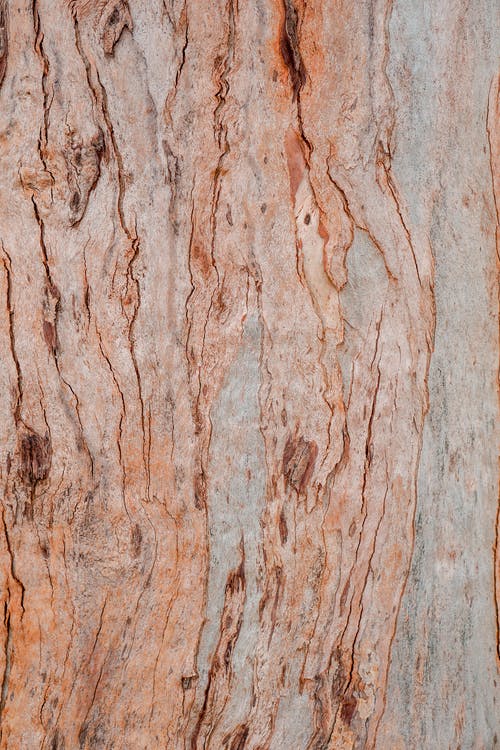 有关原本, 垂直的, 壁紙的免费素材图片