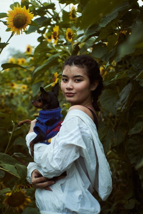 有关向日葵, 垂直拍摄, 女人的免费素材图片