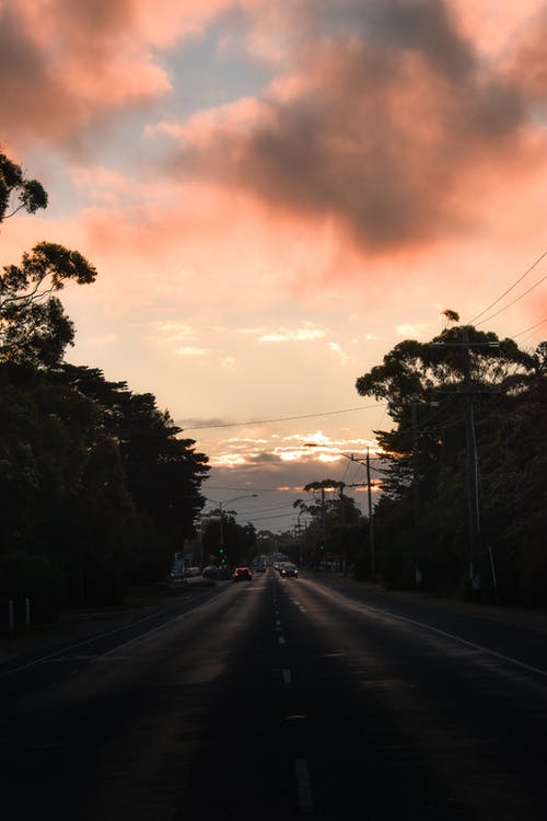 有关垂直的, 戲劇性的天空, 樹木的免费素材图片