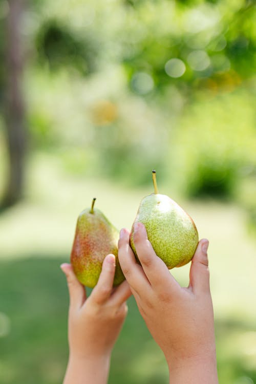 有关垂直拍摄, 手, 模糊的背景的免费素材图片