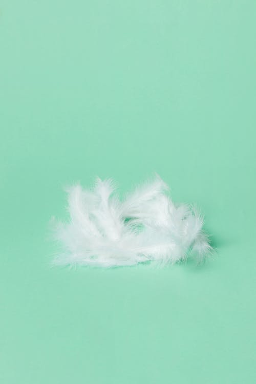有关垂直拍摄, 毛茸茸的, 綠色背景的免费素材图片