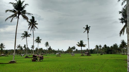 有关天性, 天空, 旅行的免费素材图片