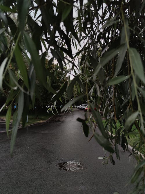 有关分支機構, 城市道路, 掛的免费素材图片