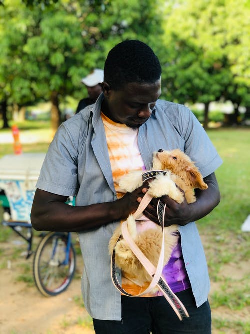 有关一起, 動物, 垂直拍摄的免费素材图片