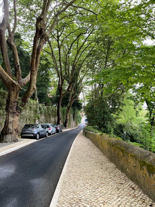 有关停放的汽車, 公園, 垂直拍摄的免费素材图片
