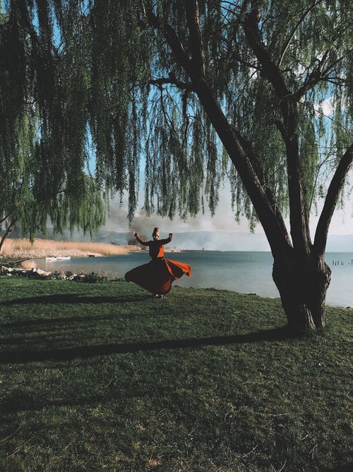 有关@户外, 垂直拍摄, 樹木的免费素材图片