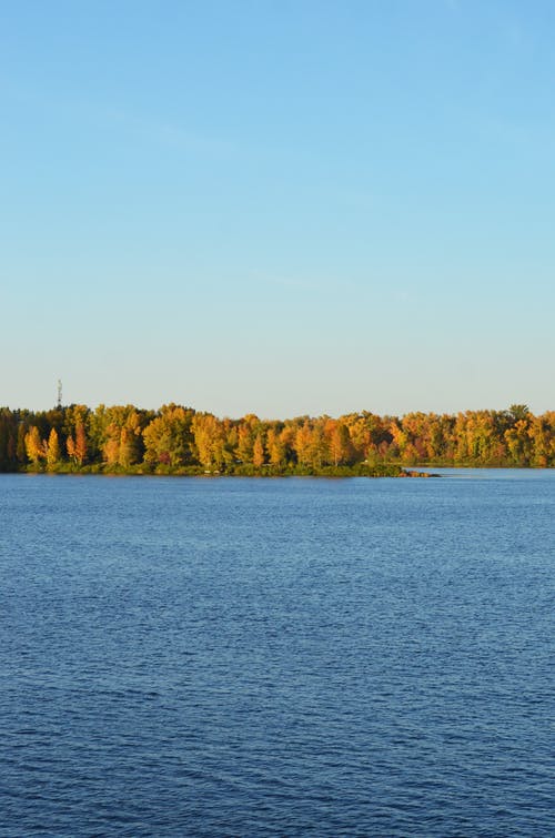 有关垂直拍摄, 天性, 湖的免费素材图片