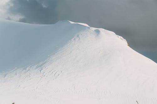 有关冬季, 大雪覆盖, 天性的免费素材图片