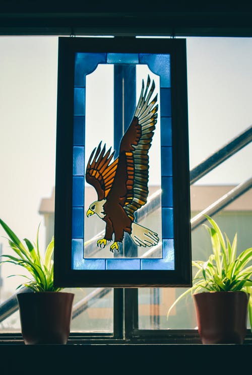 有关動物, 垂直拍摄, 彩色玻璃的免费素材图片